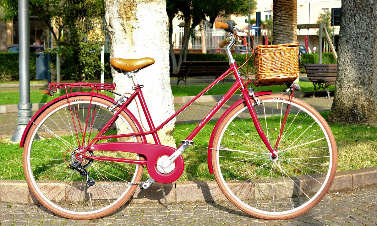 Bicycle Trubbiani Bici Alloy Trubbiani Cicli MyPushop Cicli Il