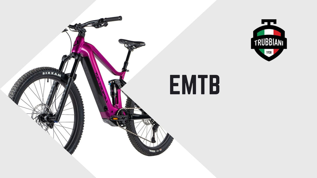 E-MTB