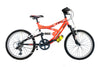 Flash 20” 6 v