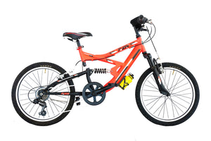 Flash 20” 6 v